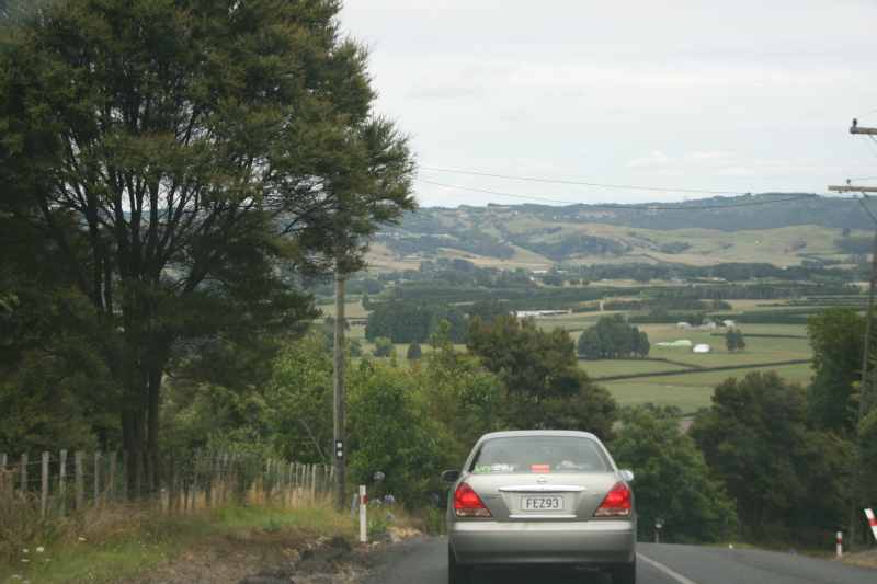 Nieuw-Zeeland 2011 - 0415